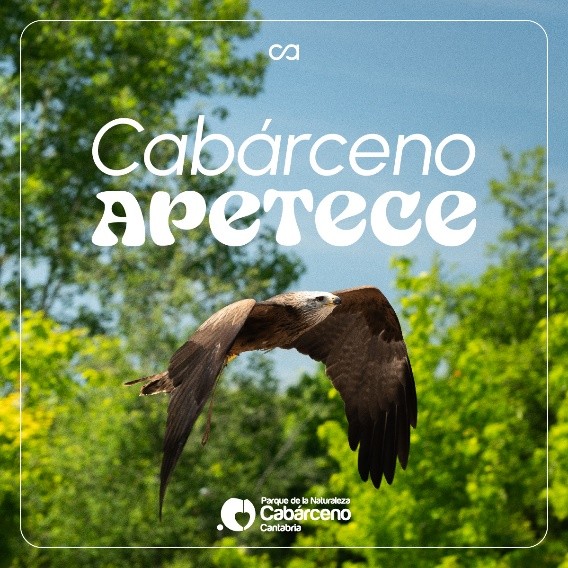 caso de exito campaña cabarceno portada